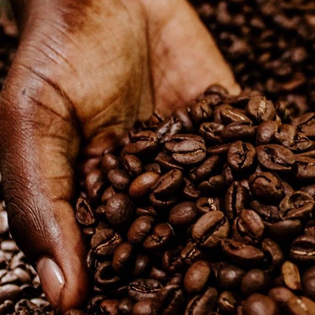 High Quality Raw Coffee Shipment Includes Robusta Coffee Beans With Whole Bean Form And Secure Packing - Image 3