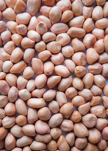Premium Shelled Peanuts Featuring Tanzanian Groundnuts From Selected Farms With Processing For International Bulk Food - Image 3