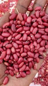 Red Kidney Beans (Wairimu) – product photo 3, product detail gallery