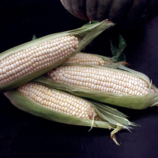 Natural White Corn Farm Fresh Corn Processed Carefully To Ensure Maximum Purity And Quality - Image 3