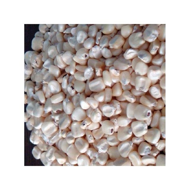 White Corn Brazil frozenchickenexports.com - Image 3