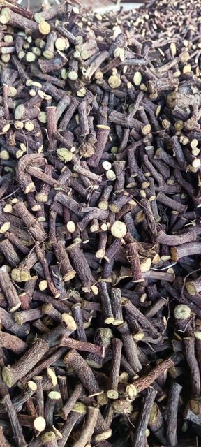 Licorice - Image 4