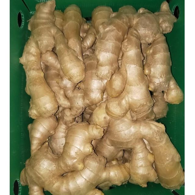 Fresh Ginger Top Quality Farm Fresh Roots For Bulk Supply With Natural Taste And Strong Aroma - Image 4