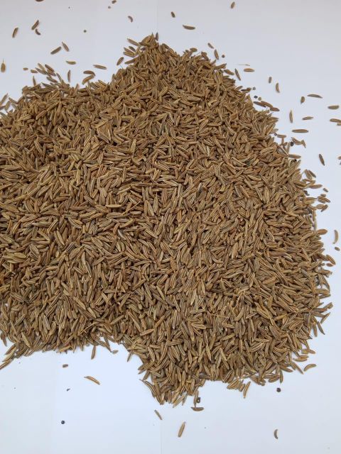 Egyptian Cumin Seeds – Bulk Export Quality Origin Egypt Features Organic Gas Reduction Yes Digestive Aid Yes Bloating Relief Yes - Image 1