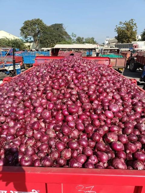 Red Onion – product photo 3, product detail gallery
