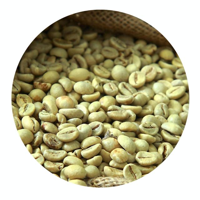 Fresh Harvest Coffee Supplier Presents Robusta Coffee Beans From Tropical Farms With Clean Processing - Image 1