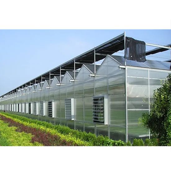 Agg Free Sample 4X8 UV Weather Resistance Plastic Sunroof Polycarbonate Sheet 5mm 7mm 10mm Polycarbonate Glass Greenhouse Panels - Image 4