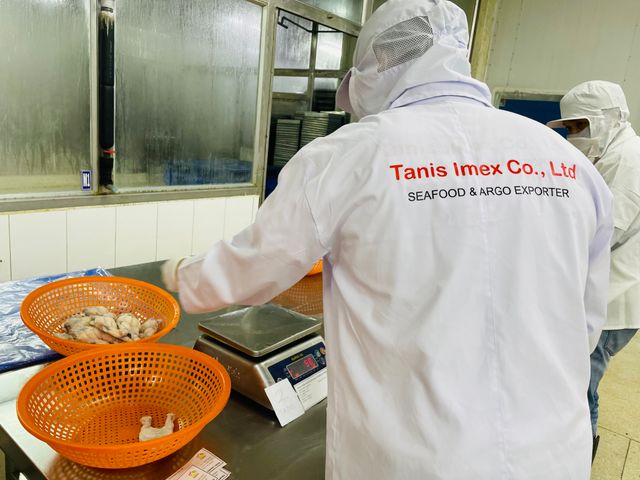 Top Product 2022 Vietnam Frozen Frog Leg bull packing/ vacuum packing - Image 6