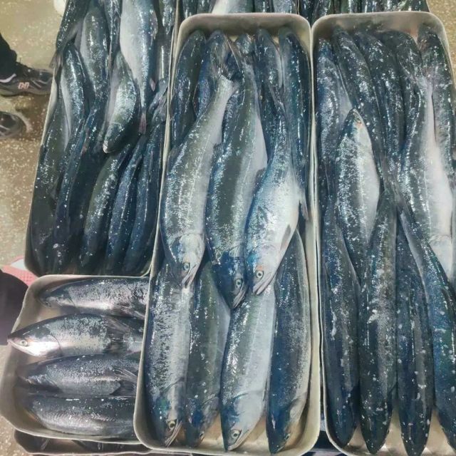 Pink salmon - Image 2
