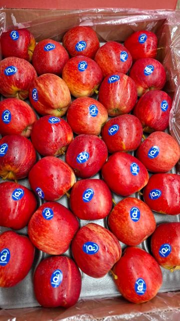 Quality Royal Beauty Apples for sale - Image 4