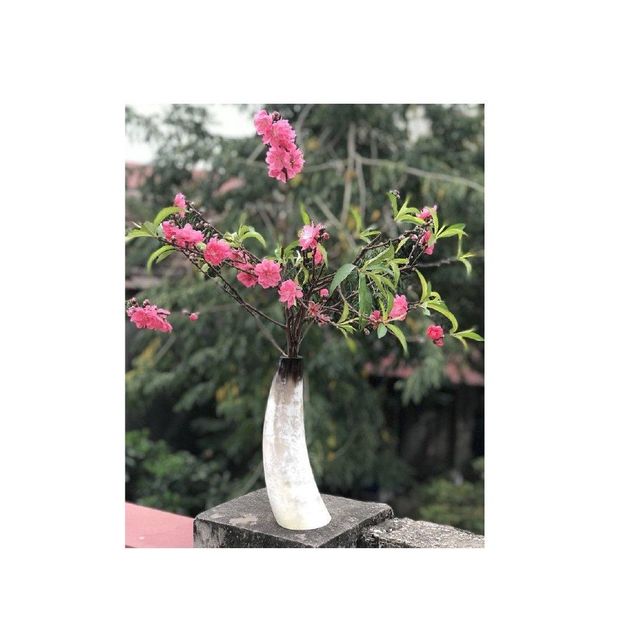 Classic design handicraft buffalo horn flower vase living room side table decoration use wholesale manufacture from India - Image 5