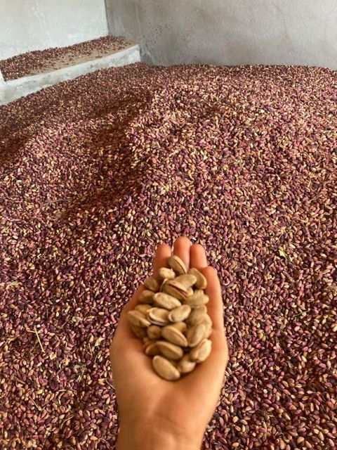 Export Quality Pistachio Nuts From Gulf Round Pistachio, Long Pistachio Nuts and Kernels... - Image 3