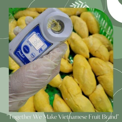 Fresh Durian Vietnam Common Cultivation Sweet Taste Monthong/ Ri6 Variety Fresh Yellow Durian In Carton Box Packaging - Image 5