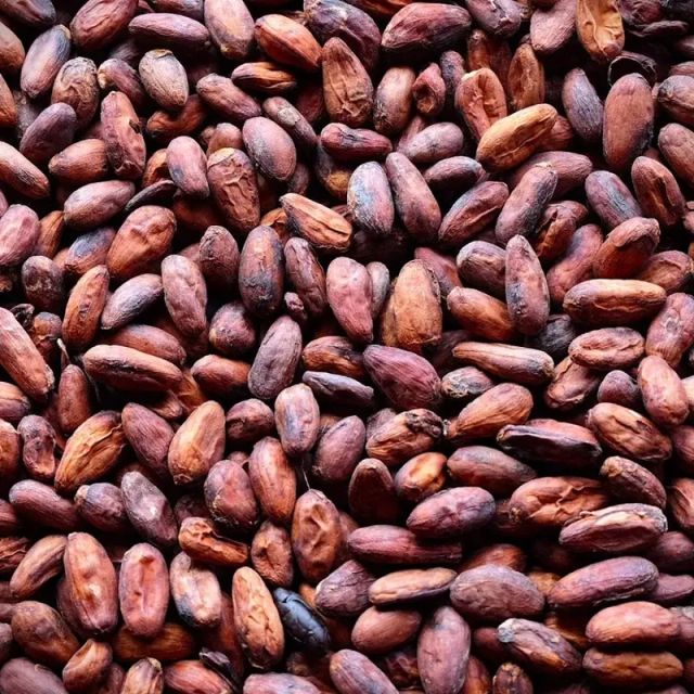 Wholesale Best Quality Natural Organic Dried Cocoa Beans Economically Priced 10kg Packaged Bags - Image 2
