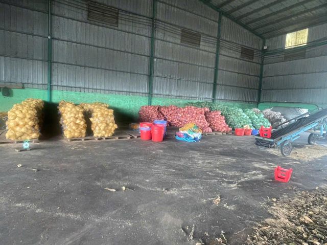 Dried Coconut Organic Yes Origin Vietnam Degree Of Maturity Mature Degree of Processing Dried Processing Type Full-husked - Image 4