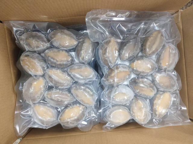 Frozen Boiled Abalone - Image 3