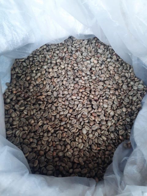 Arabica / Robusta Green Coffee Beans – Full Washed Process Defect Rate <5% Screen Size 16–18 Moisture Content 11% - 12% Origin Dampit, Kawi, - Image 1