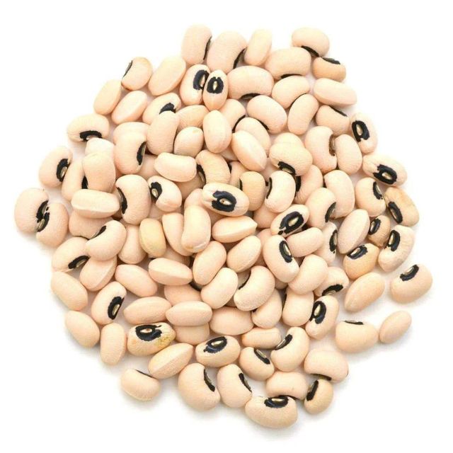 Natural Black Eye Beans White Cowpea New Crop Bulk Wholesale - Image 2