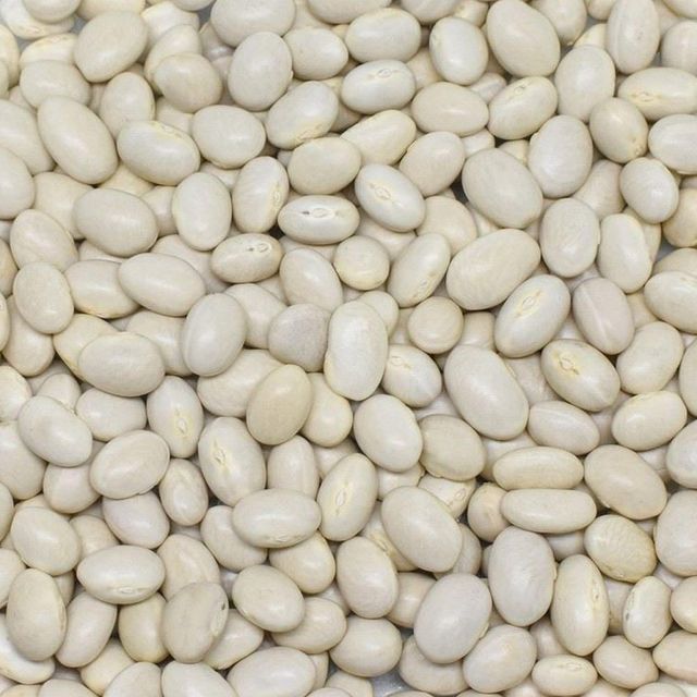 Natural Farm Grown Dried Pulses Presenting Sugar Beans Packed For Global Food Importers With Pure Supply - Image 5