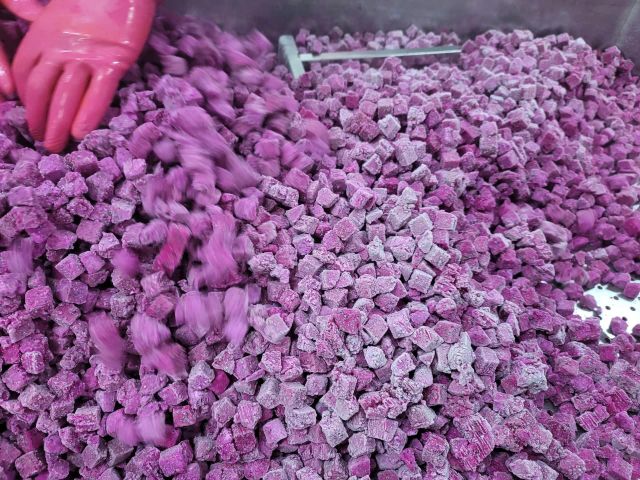 Frozen Dragon Fruit - Image 1
