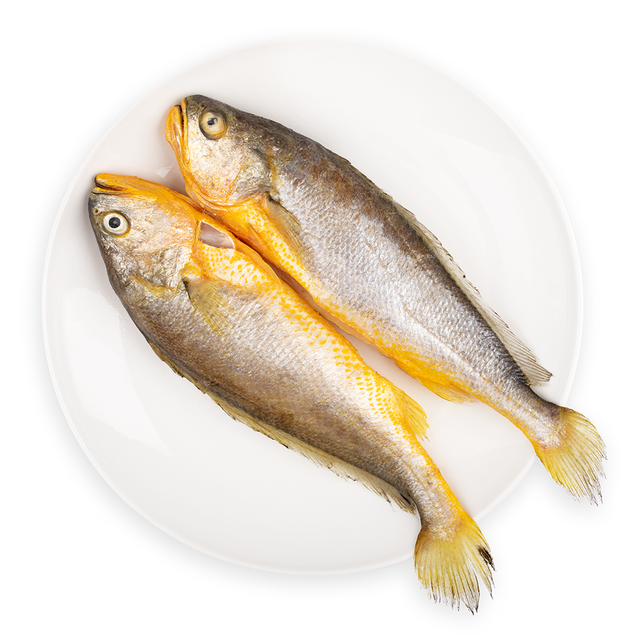 Healthy Frozen Yellow Croaker Fish Ocean Fresh Wild Catch Rich Protein Choice for Wholesale Seafood Suppliers - Image 5