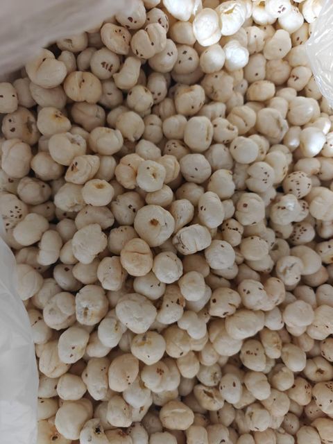 Fox Nuts- Makhana Origin India Texture Crunchy Taste Mild-neutral Place of Origin INDIA Packaging 10 KG pp bag Color Whitish- Yellowish - Image 2