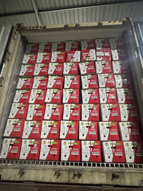 Fresh Pink Pomelo Seed Content Low Manufacturer TIGIFIMEX Color Vibrant Pink Flesh Storage Temperature Plus 8°c Packing Size 13 Kgs Per Carton - Image 3