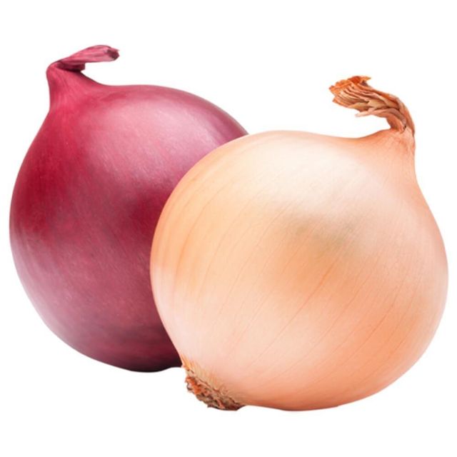Fresh Onion Carefully Selected Natural Crop With High Purity Standards For Wholesale Fresh Produce Supply - Image 3