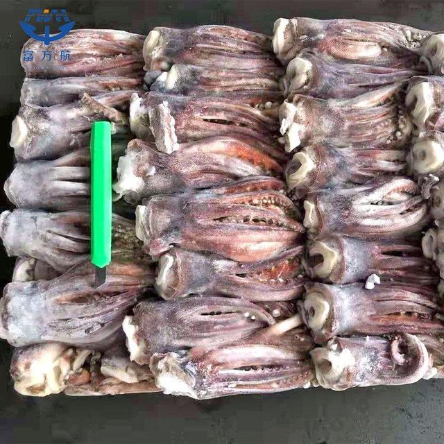 Cheap Frozen Indian Squid China Frozen Squid - Image 3