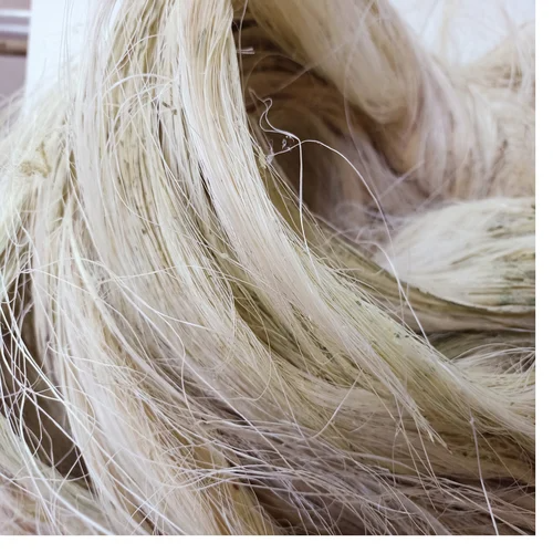 Eco-Friendly Sisal Fibre Natural Color Grade 90-120cm Length Low Price Raw Pattern for Industrial Use Concrete For Sale - Image 4