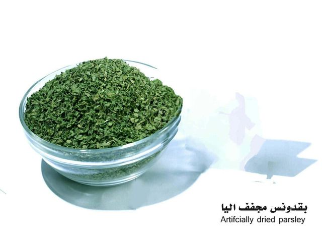 Aromatic plants , MORINGA,Thyme,Marjoram,Dill, Parsley Origin Egypt Product Type Fruits & Vegetables, Spices, Spices, Seasonings & Flavors - Image 4