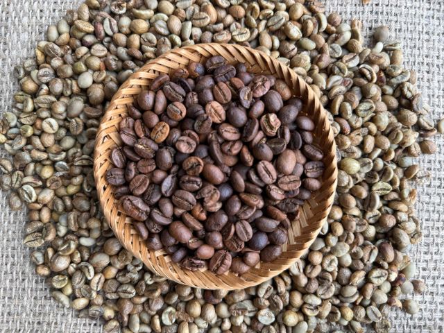 Premium Robusta Green Coffee - Origin From Vietnam - Anvan Dried Food - Image 3