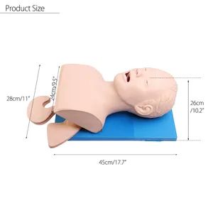 Medical Science Human Trachea Intubation Model for Nurse Training - Image 6