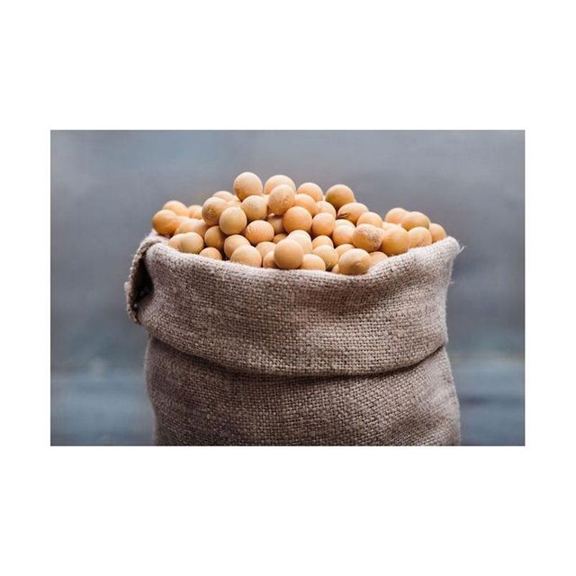 Brazilian Soybeans – product photo 3, product detail gallery