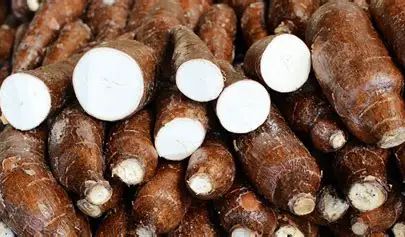 Cassava Starch Origin Indonesia Color White > 90% Type PH : 5.0 - 8.0 Max. Moisture (%) 13% Material Starch > - Image 4