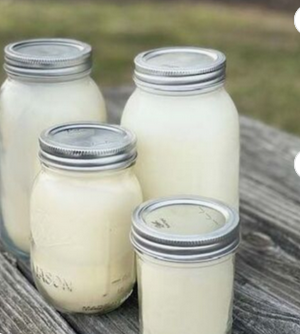 Unscented Natural Soft Smooth Beef Tallow Skincare Moisturizer .Best Quality Beef Tallow available for sale. discount price - Image 3