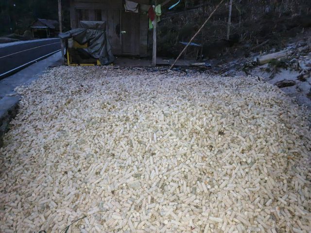 corn cobs - Image 1