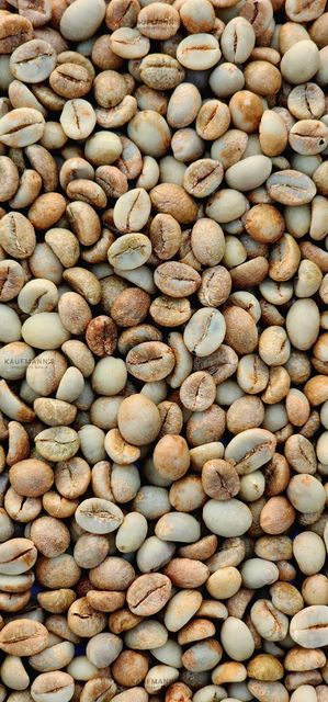 Agriculture, Food & Beverage – product photo 1, product detail gallery