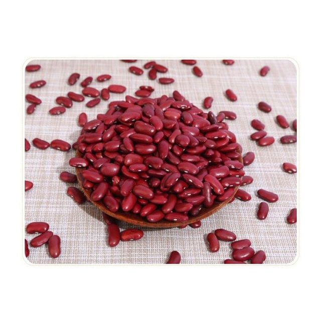 High Quality Hot Selling Green Healthy Dried Style Red Beans Kidney Certified Organic British Red Kidney Bean Rich Protein Dark Red Kidney Beans Prices - Image 3