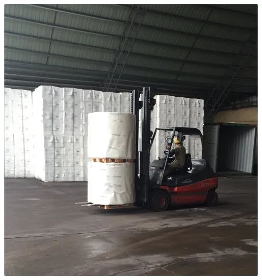 PLA PE Coated Paper Roll for Food Packaging Origin China Pulp Style Virgin Trademark Sunrise Model NO. 150g-400g Pulp Material Wood - Image 6