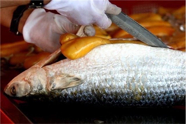 Wholesale Frozen Grey Mullet Frozen Grey Mullet Fish Whole Round IQF 90% NW - Image 2