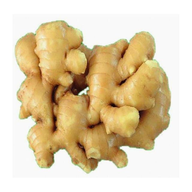 Selected Organic Farm Harvest Includes Fresh Ginger Packed Freshly For Global Importers - Image 4