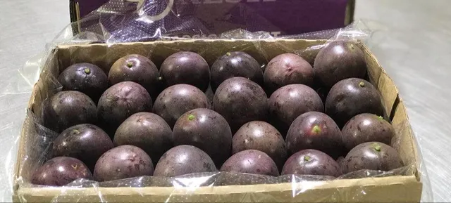 Passion fruit - Image 1
