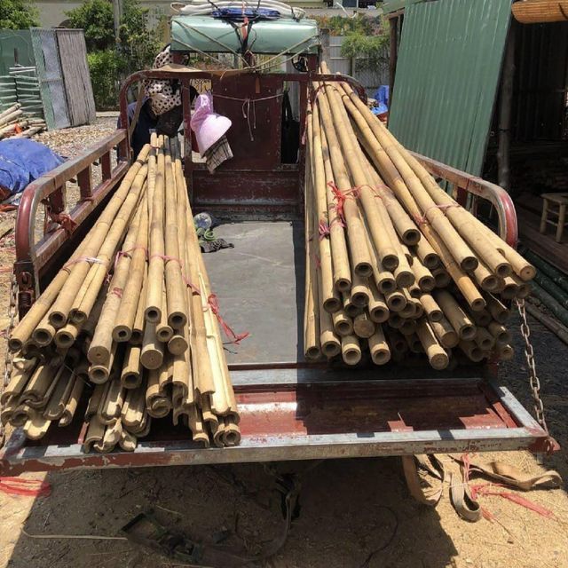 Vietnamese Bamboo Poles Wholesale Price - Raw Bamboo Poles For Gardening And Decoration - Bamboo Pole 100% Natural - Image 4