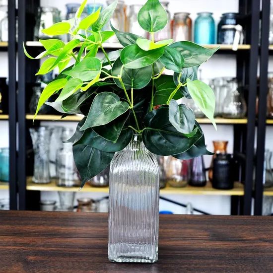 Home Decoration Square Creative Hydroponic Clear Glass Vase - Image 4