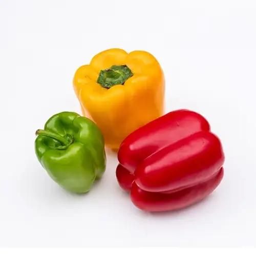 Bell Pepper Color Red Caloric Value Low In Calories Nutritional Content Rich In Vitamin C And Other - Image 1