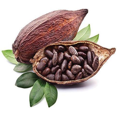 High Grade Ivory Coast Cacao Raw Cocoa Beans Type Cacao Address AFRICA Content PROTEIN Shelf Life 3 YEARS Manufacturer - Image 1