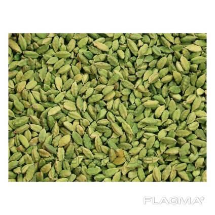 Fresh Raw Green Cardamom Wholesale Premium Quality Spice Bulk Available 100% Natural High - Image 3