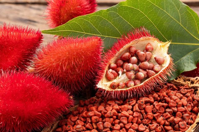 Natural Annatto Seeds New Crop 2026 - Image 3