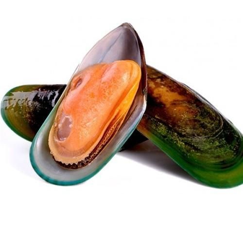 Best Price Frozen Seafood Musses With Shell / Mussels Meat Bulk Stock Available With Customized Packing - Image 3